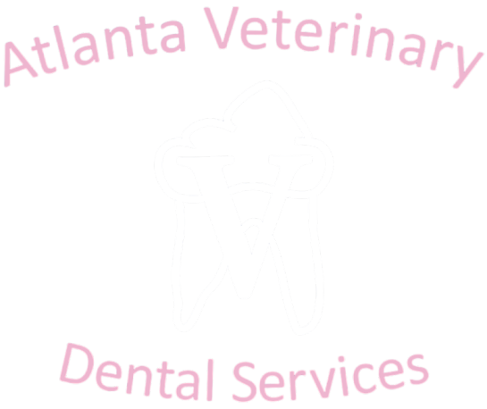 Atlanta Veterinary Dental Services